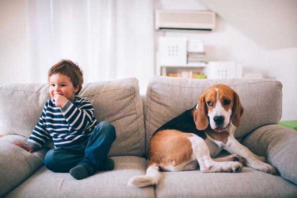 Sofa Online - Tu sofá a salvo de niños y mascotas