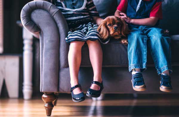 Sofa Online - Tu sofá a salvo de niños y mascotas